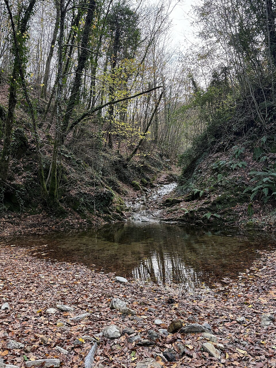 Cascata torrente La Fine