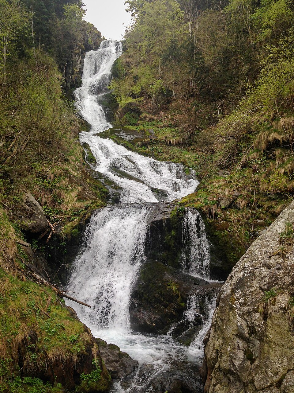 Cascata del Saut