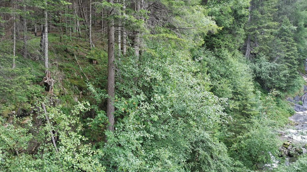 Frankenbach-Wasserfall