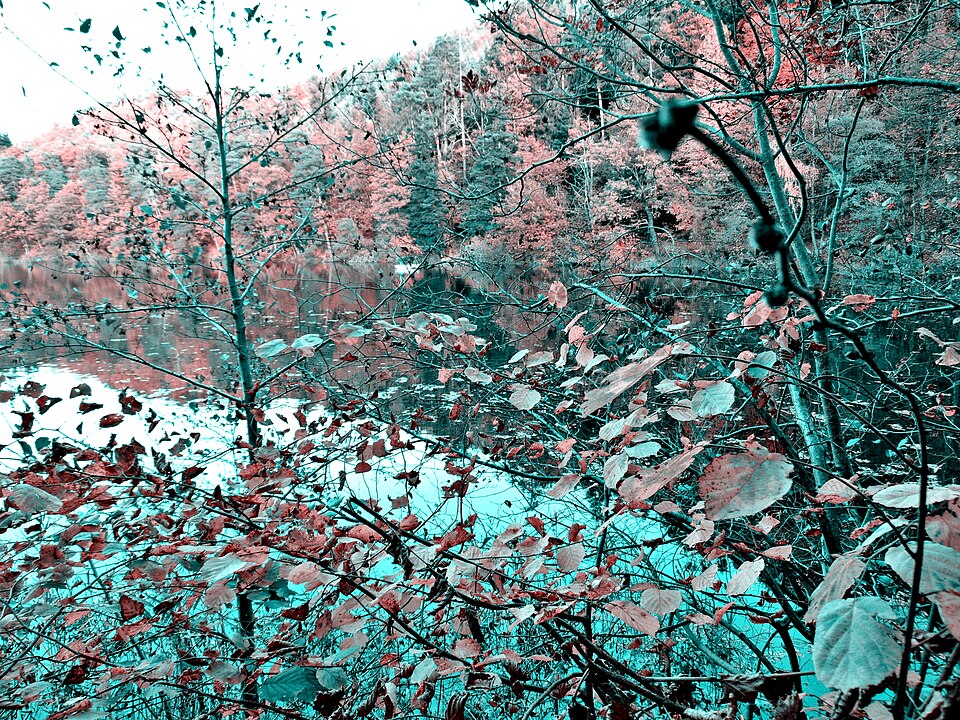 Kleiner Montiggler See — Lago Piccolo Di Monticolo - Davanti Al Lido