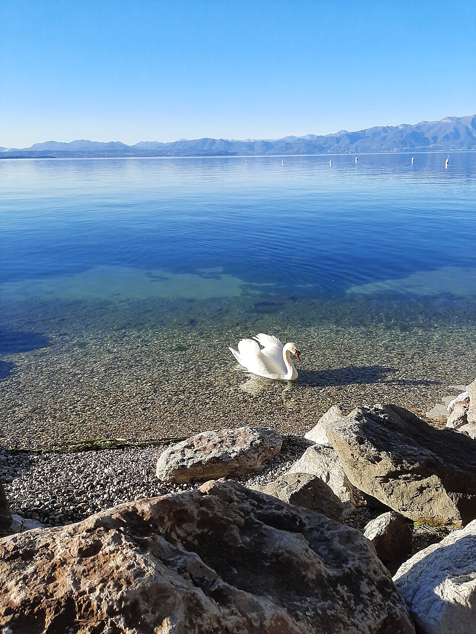 Lago di Garda — Lungolago Preite Nord
