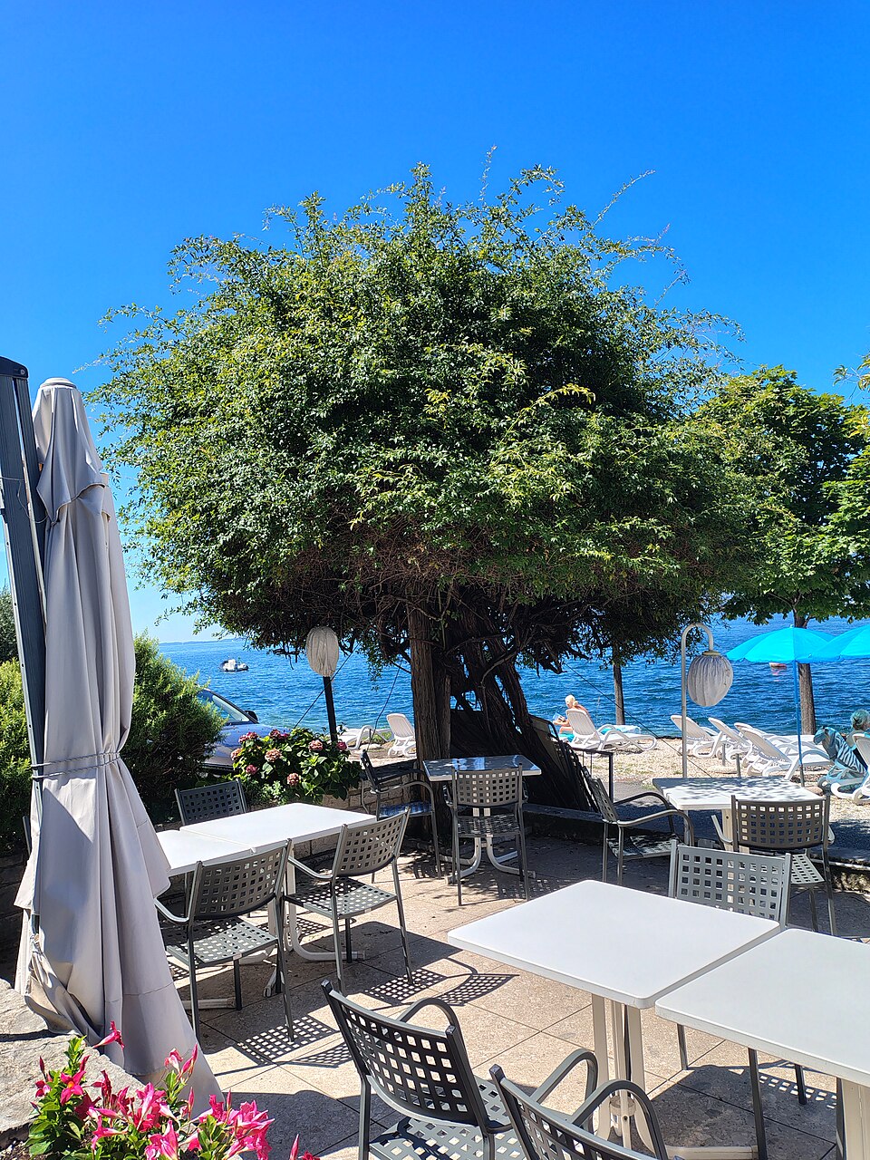 Lago di Garda — Vaso