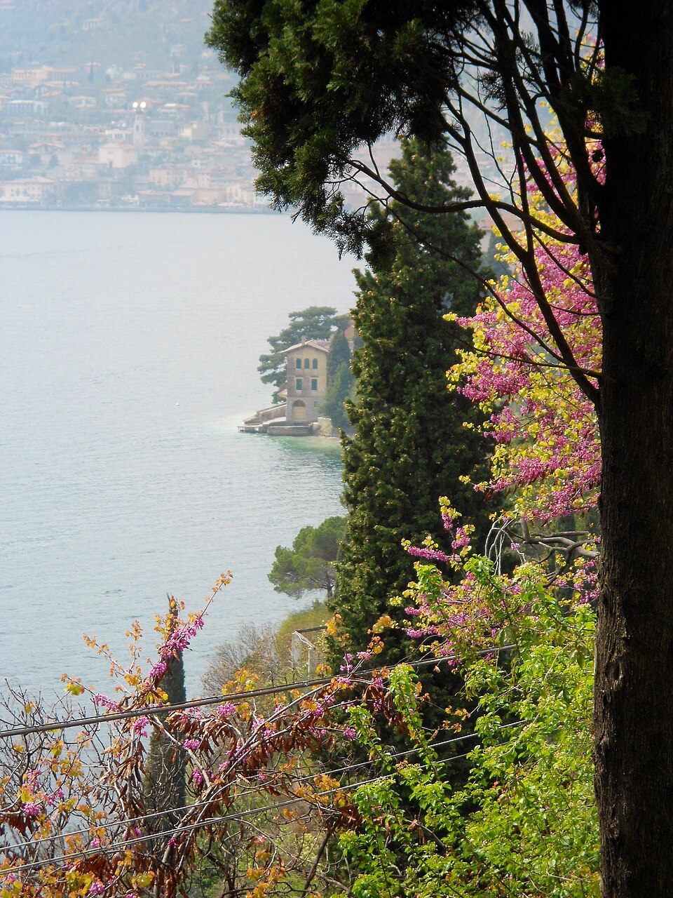 Foce Torrente S.giovanni