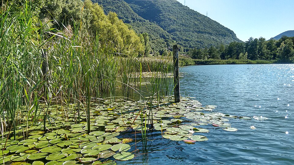 Lago di Endine — Lido Legner