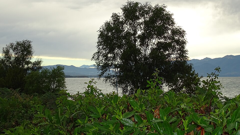 Lago del Frassino — Via Alfieri