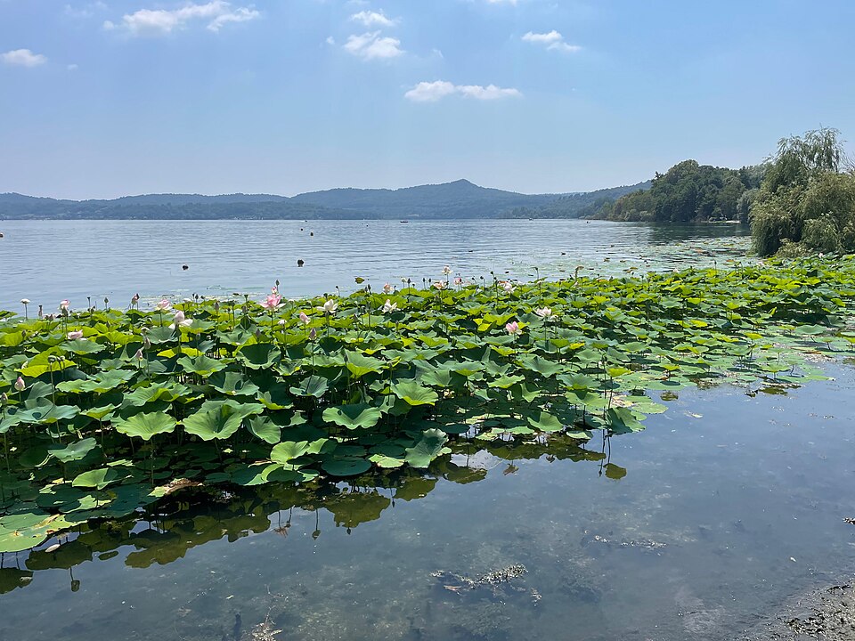 Lago di Viverone — Lido Anzasco