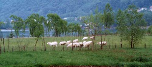 Laghi di Revine Lago — Area Verde Comunale