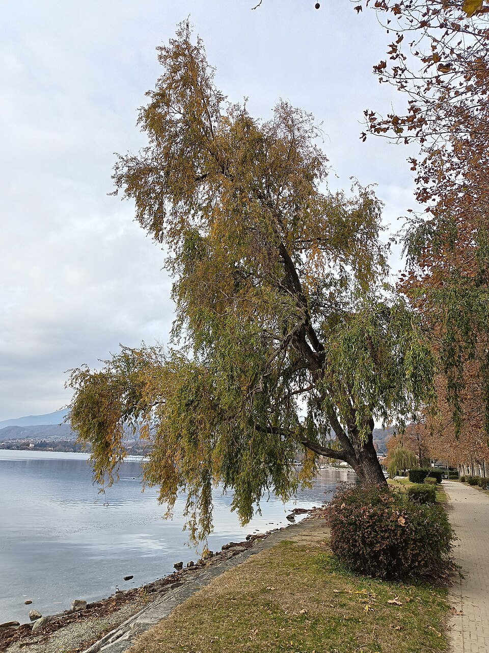 Lago di Viverone — Bagni Ghigliotta