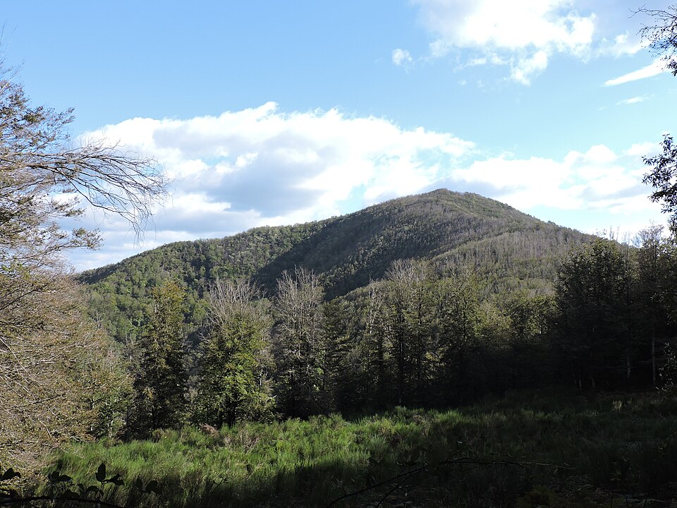 Fonte delle Cavallaie