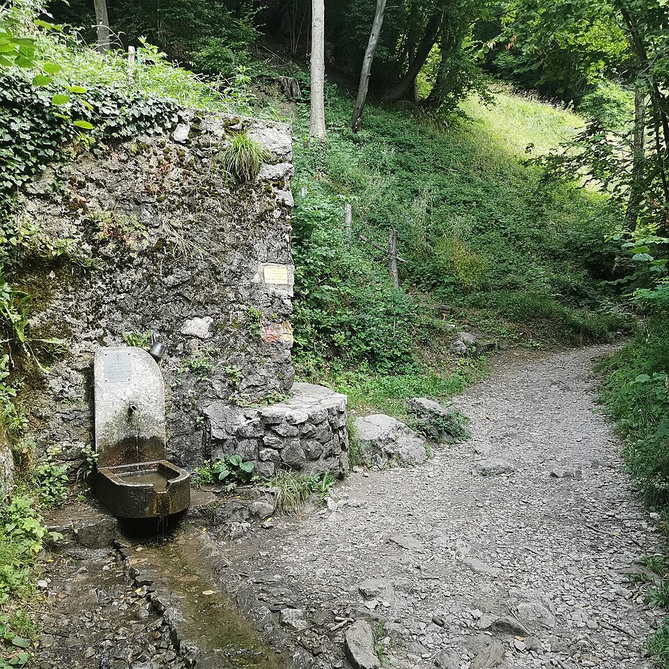 Sorgente del Kopp