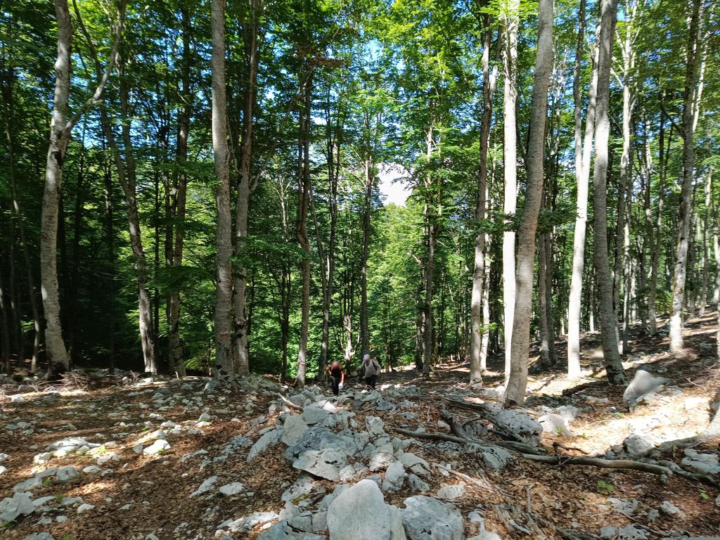 Sorgente Pisciarello