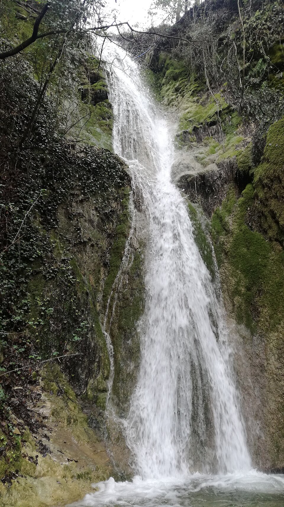Fonte Giallina