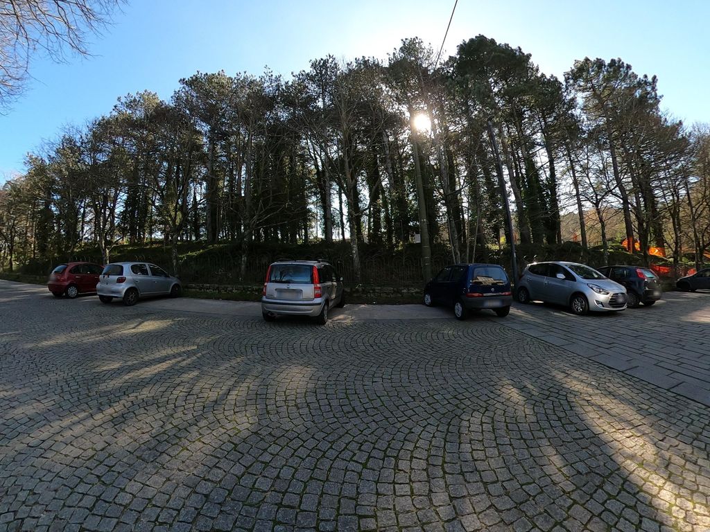Fonte Rinaggiu