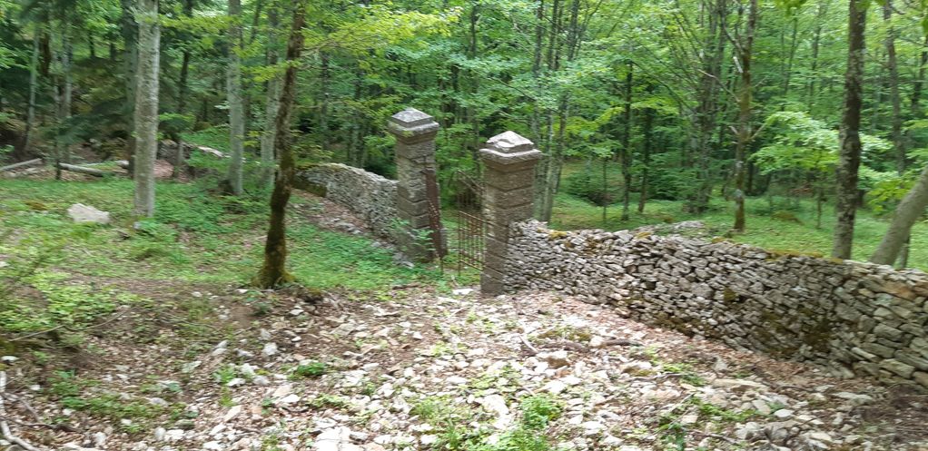 Sorgente Moia Alta