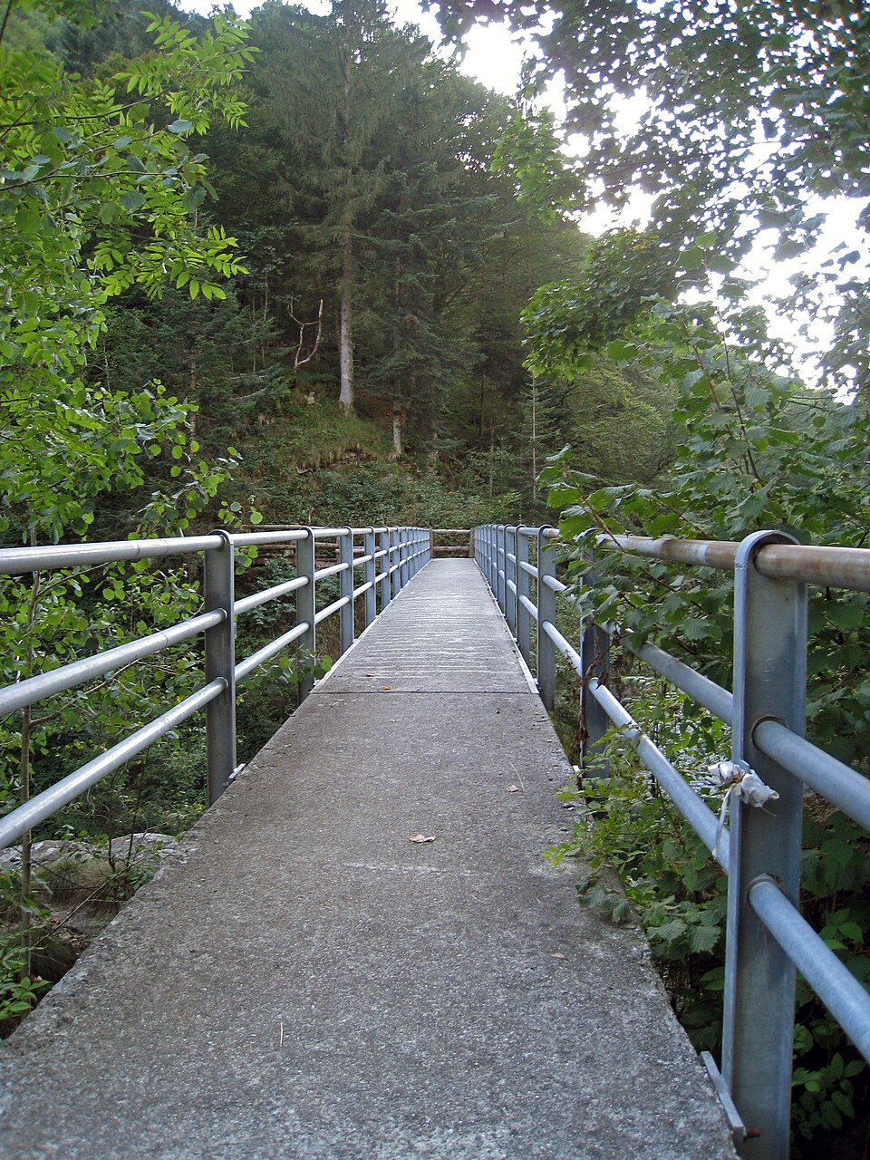 Bagni di Craveggia