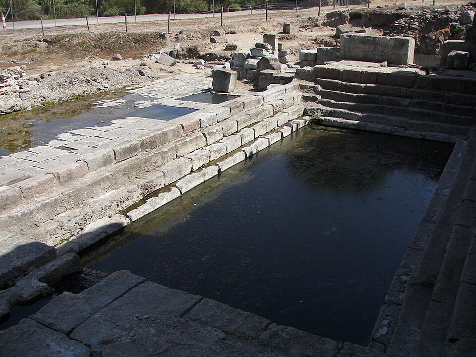 Terme Is Bangius